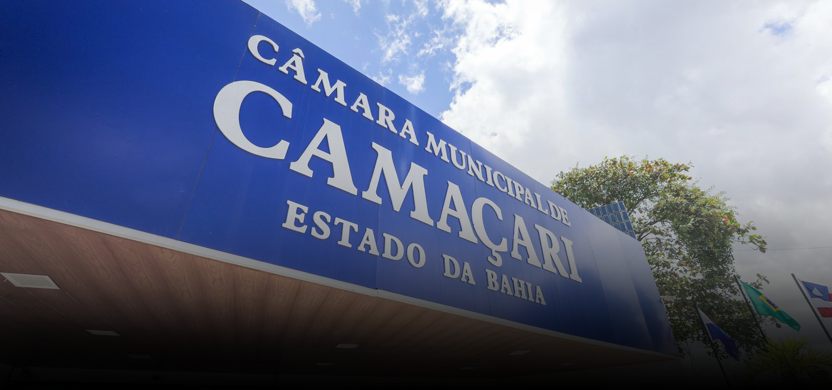 Image hover effect image