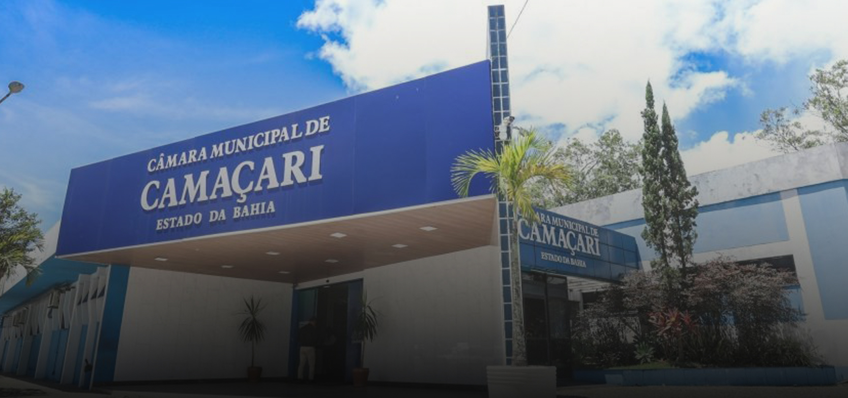 Image hover effect image