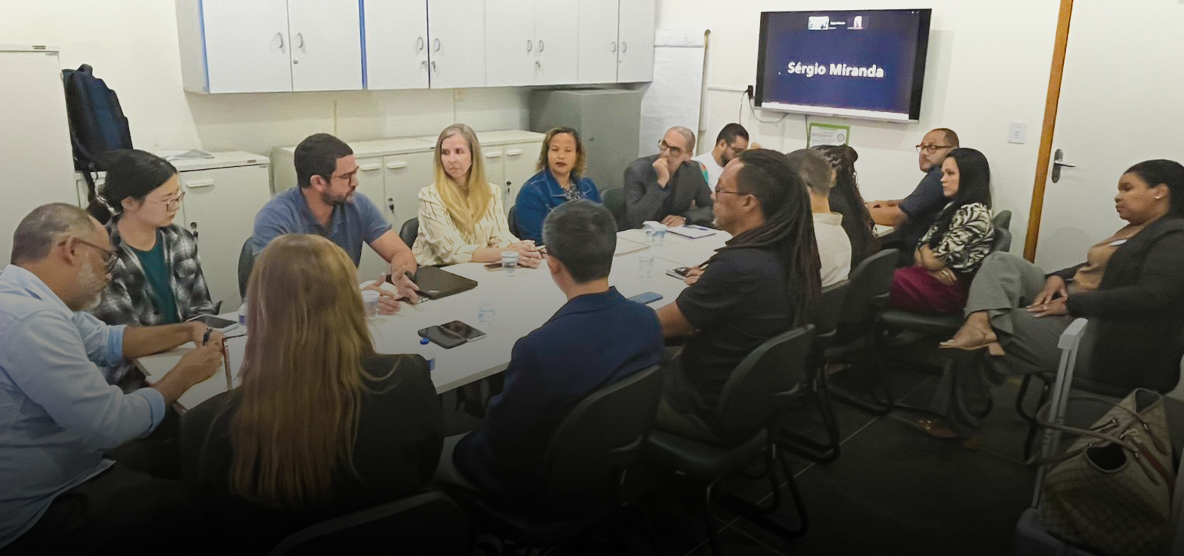 Image hover effect image