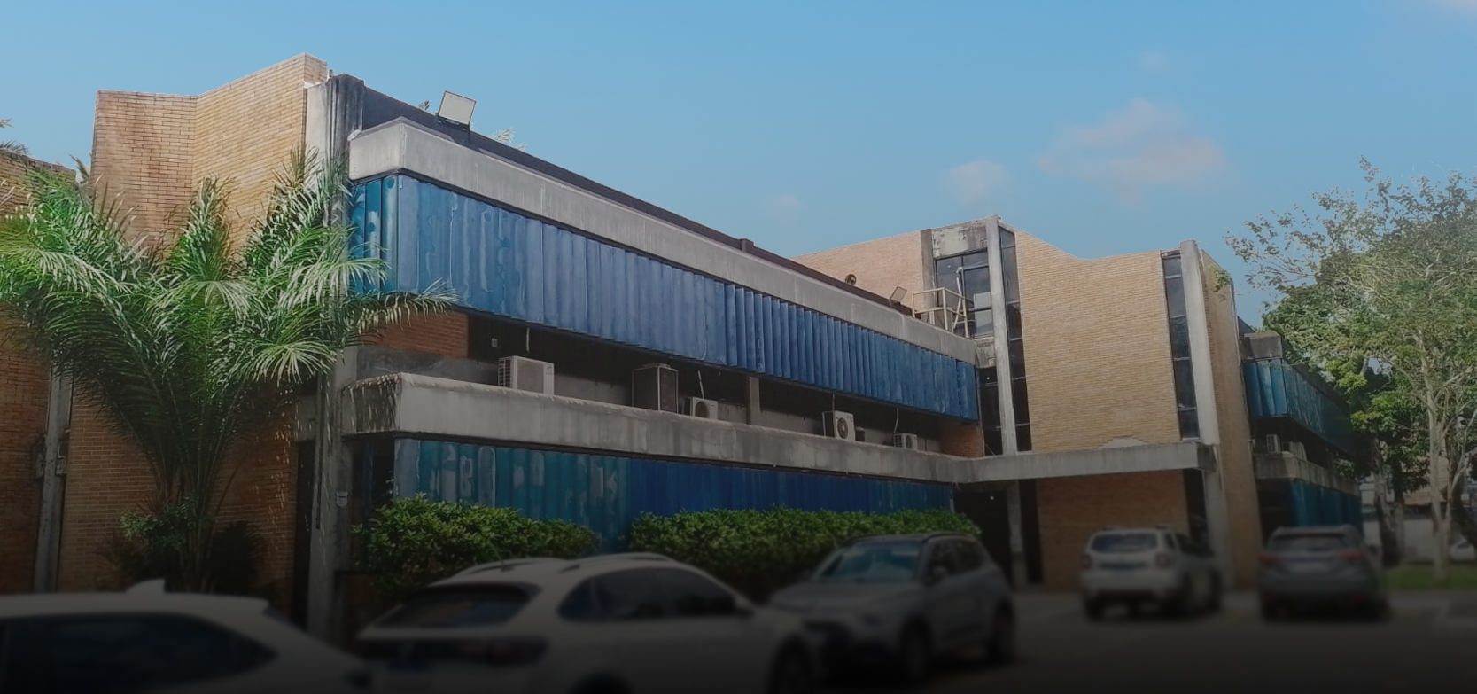 Image hover effect image